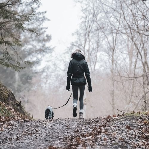 14 Wintery walks with pitstops in Glos and Worcs