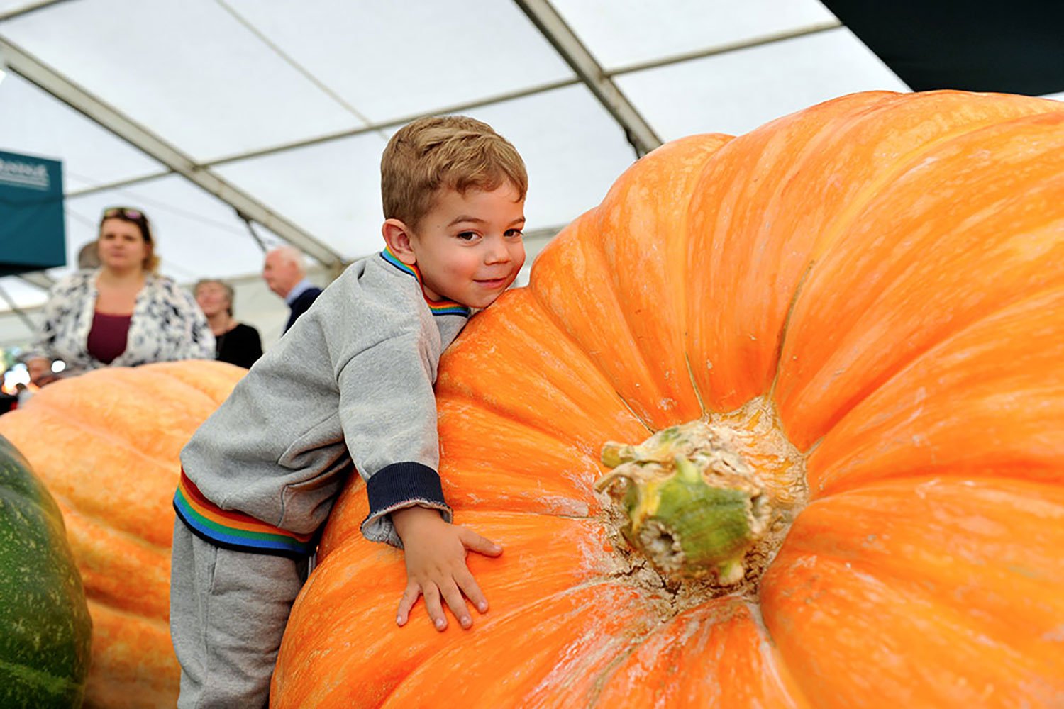 boy with pumpkin in malvern 