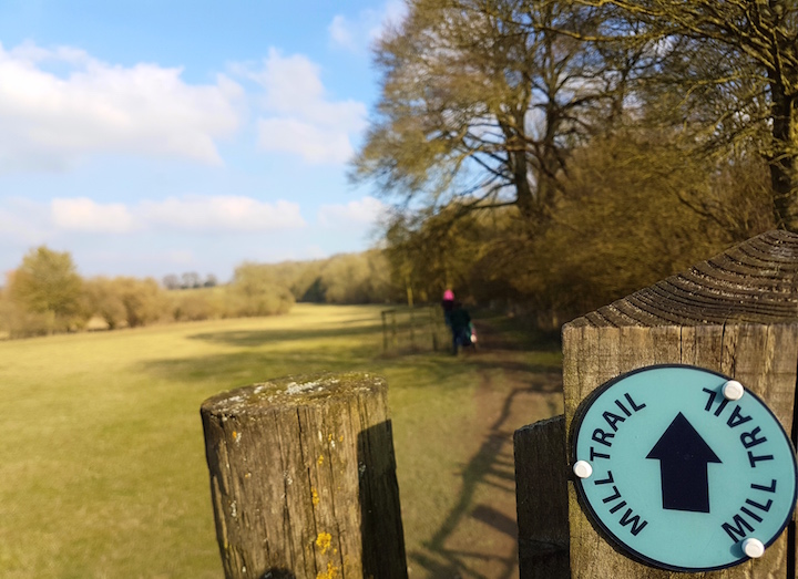 Muddy Walks: The Mill Trail, Whitchurch