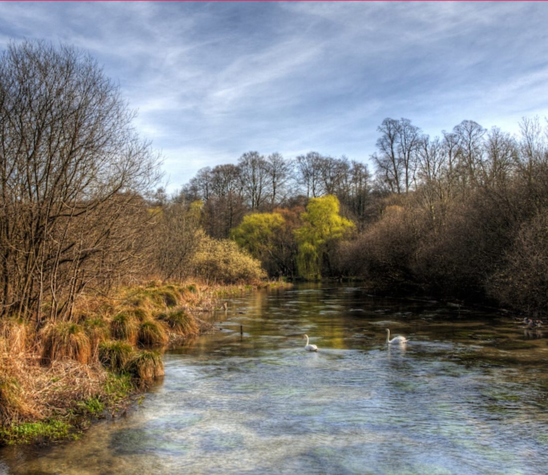 Great winter walks around Hampshire