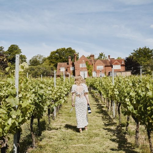 6 lovely Hampshire vineyards to visit