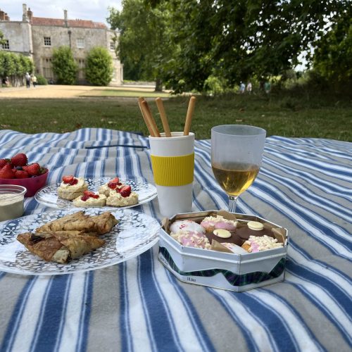 The perfect picnic spot: Mottisfont
