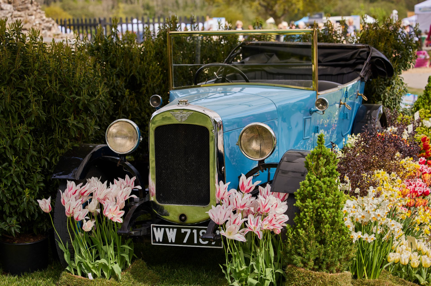 Vintage car flowers BBC Gardeners World Spring Festival Beaulieu