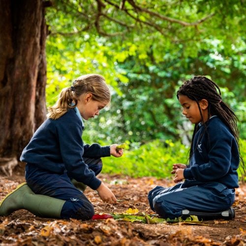 Walhampton School, Lymington