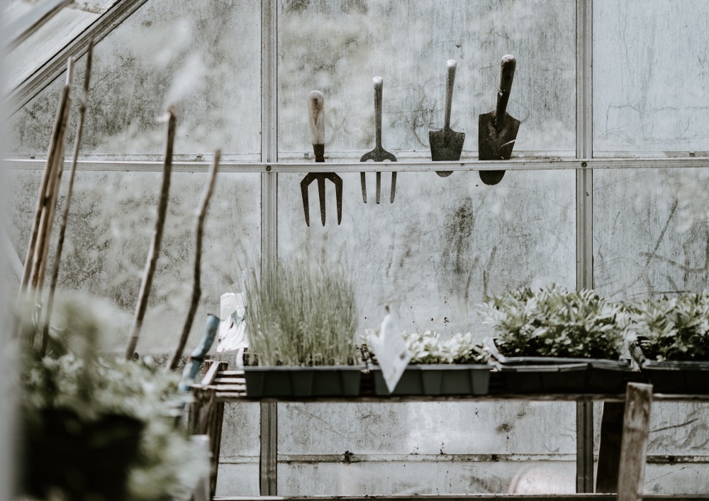 9 ways to prep your garden for winter