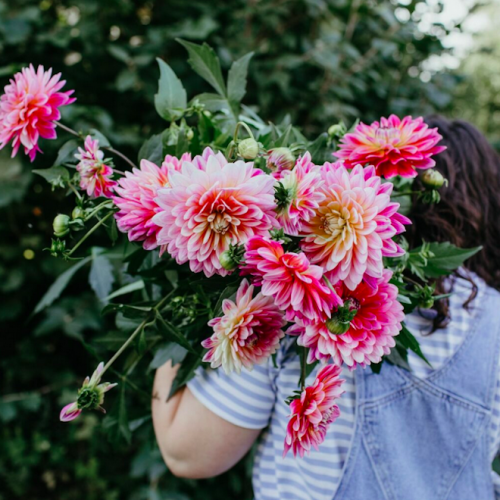 Blooming gorgeous! 11 lovely local flower farms