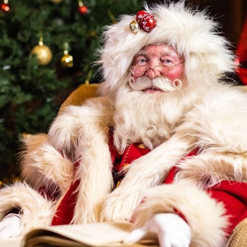 Grotto go! 15 Santa experiences in Herts &amp; Beds