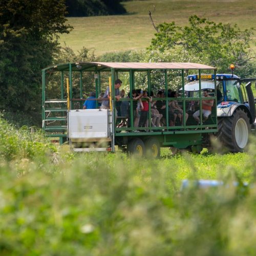 The best local farms to visit this Open Farm Sunday