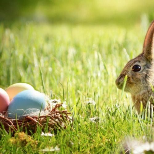 Hop to it! 5 local activities to book for Easter