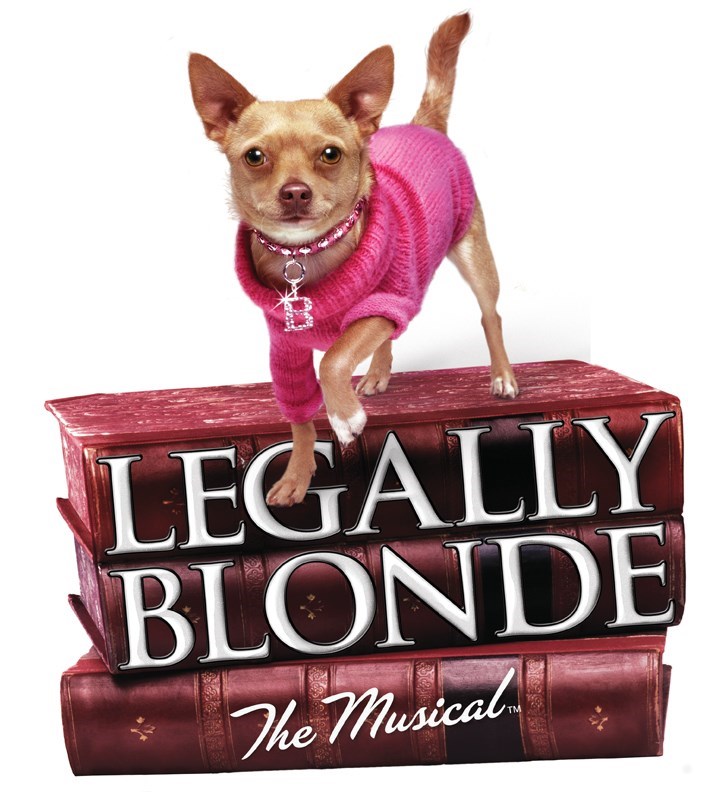5 Reasons we love Legally Blonde: The Musical!