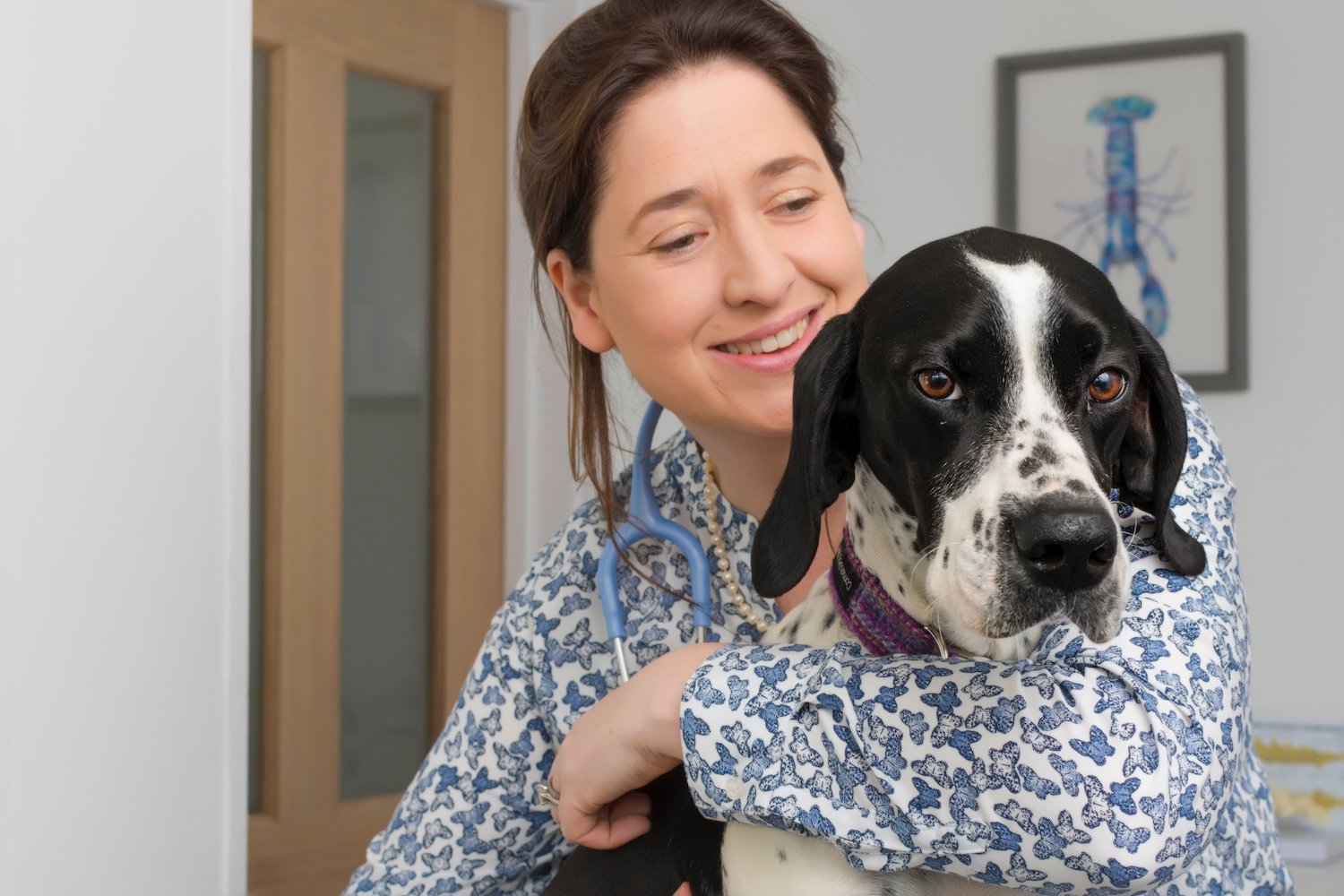 Pet store vet corner