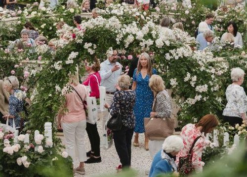 TOP 5 MUST-SEE gardens at the RHS Chelsea Flower show