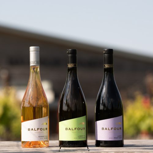 Kent vineyards to support in English Wine Week