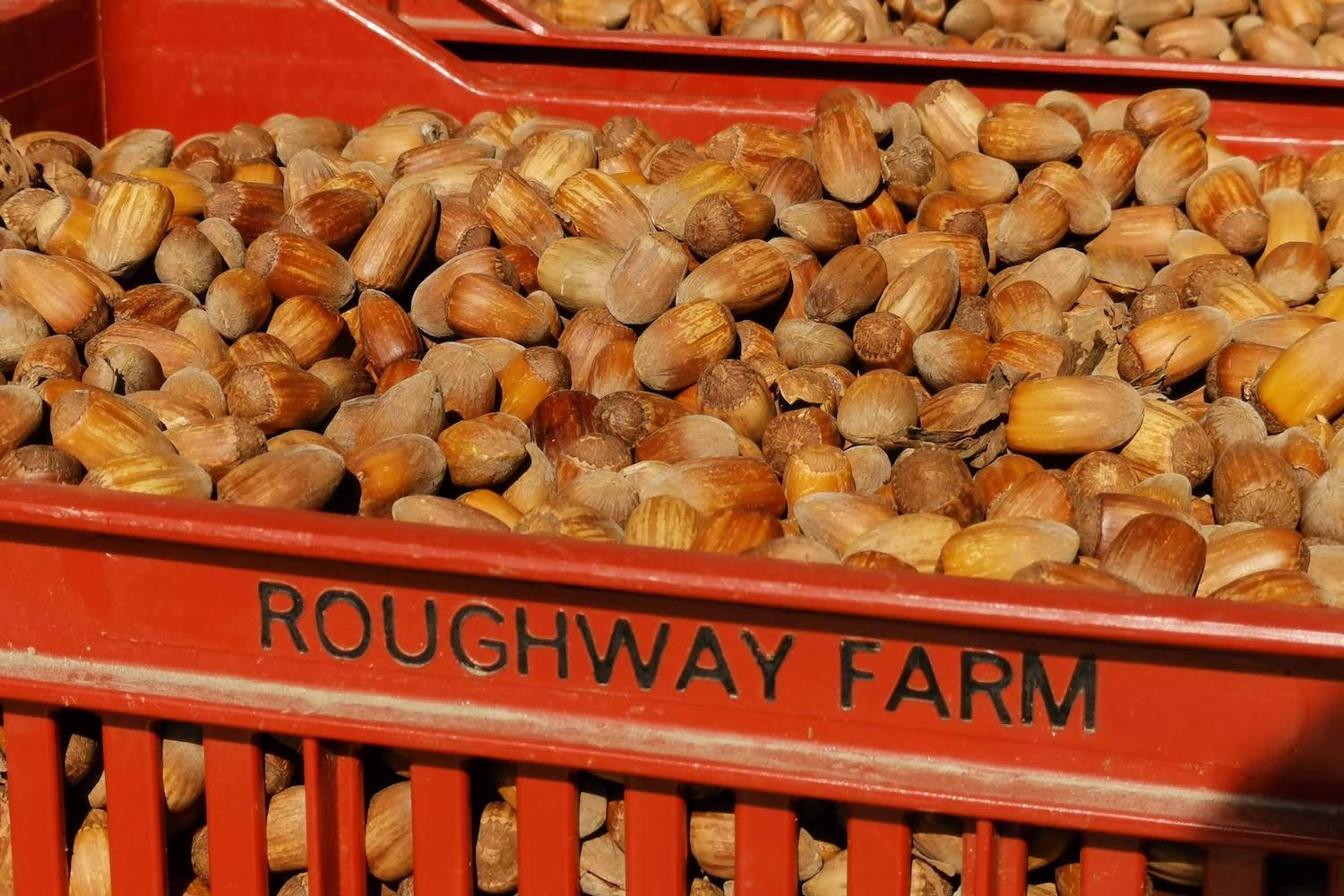 Roughway Farm, Online Fresh Produce