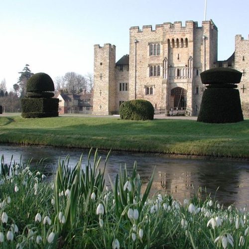 ECO WEEK: Why we're all going to Hever Castle this Half Term