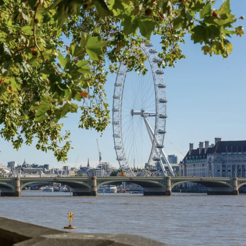 20-minute secret wellness walks in London