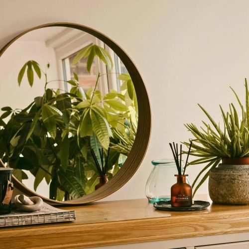 5 easy-to-grow house plants (and how to keep them alive)