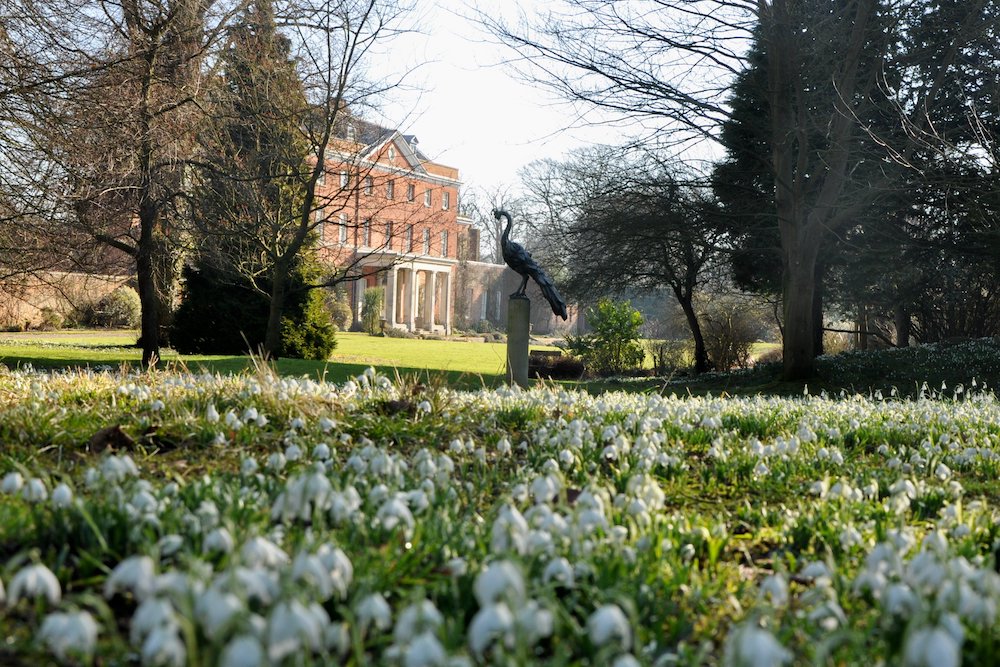 In bloom! 13 snowdrop walks in Norfolk for 2024