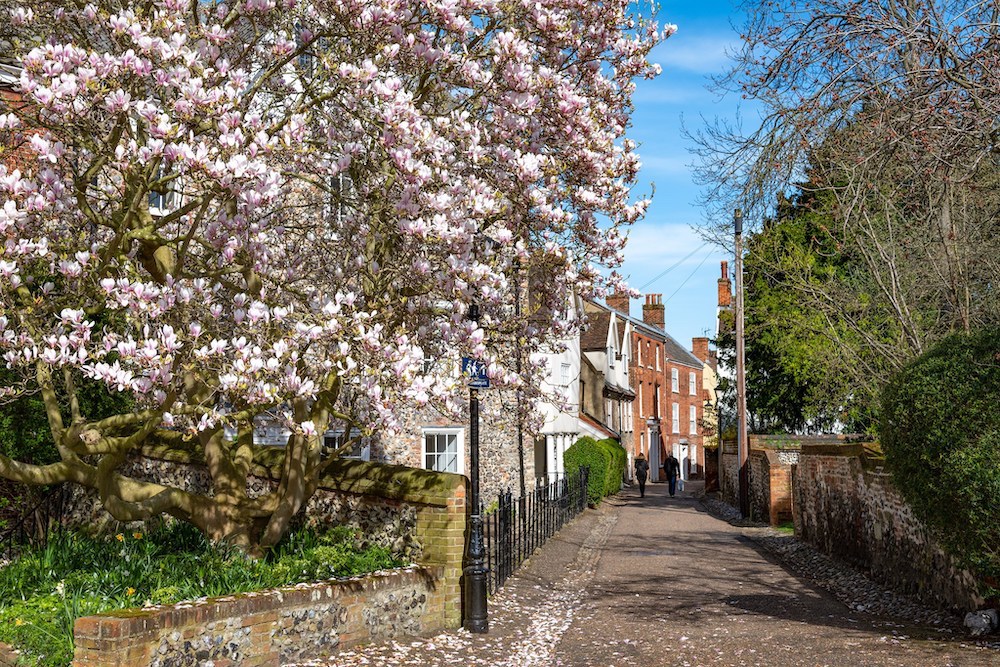 Where to see spring blossom and blooms in Norfolk