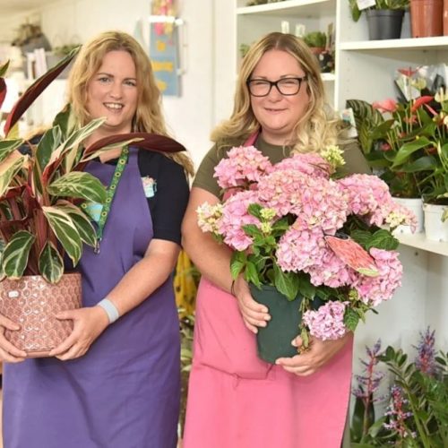 How not to kill your houseplants with Norfolk's green-fingered sisters