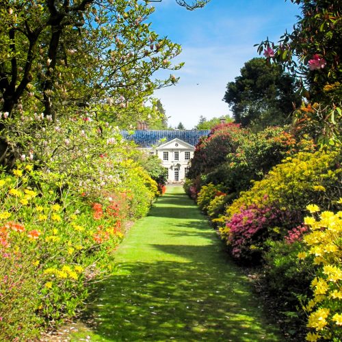 Soak up spring! 13 stunning secret gardens to visit in Norfolk