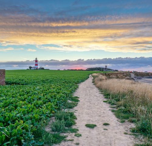 Best coastal walks in Norfolk - with pitstops