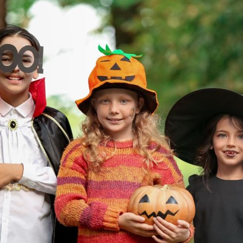 Fear not! Your Norfolk half term and Halloween guide is here