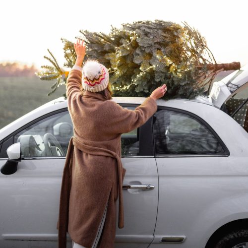 Fir real? Where to get your Christmas tree in Norfolk