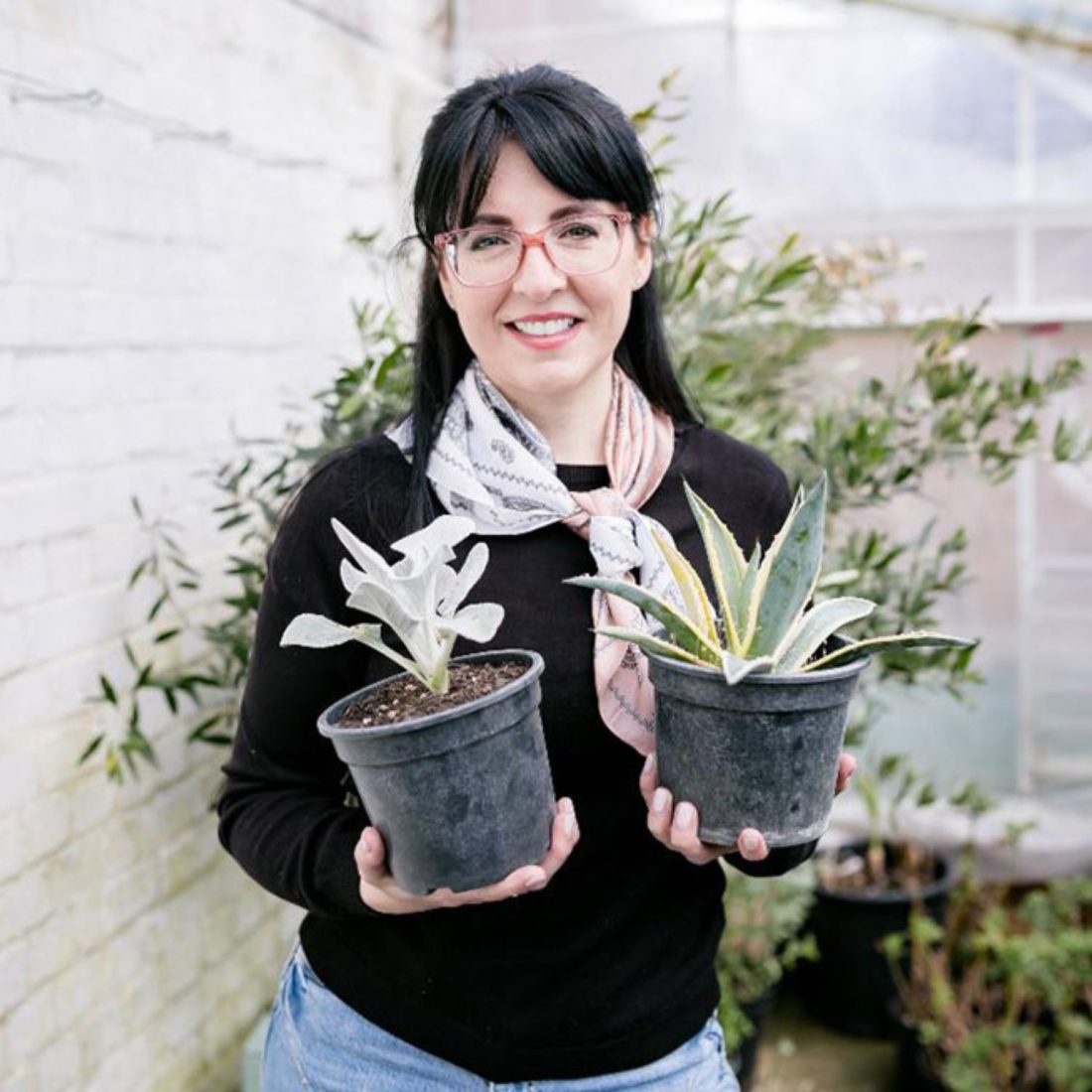 Sow what? Ellen Mary’s guide to edible indoor & outdoor plants