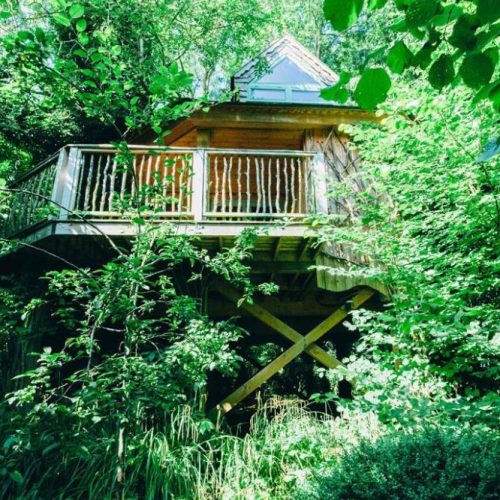 Branch out! Whimsical treehouse stays in Norfolk