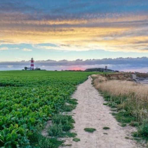 Fancy a ramble? 22 lovely coastal path walks around East Anglia