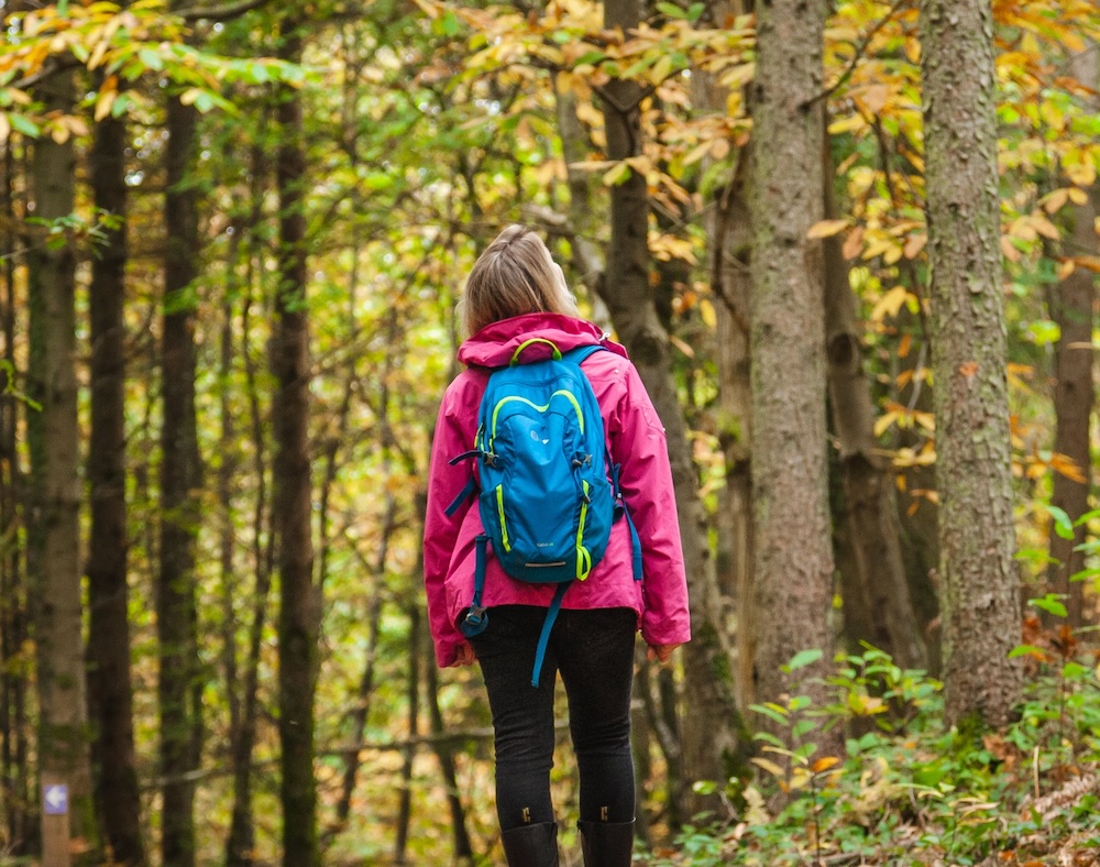 Go for gold! 10 awesome autumn walks across the county