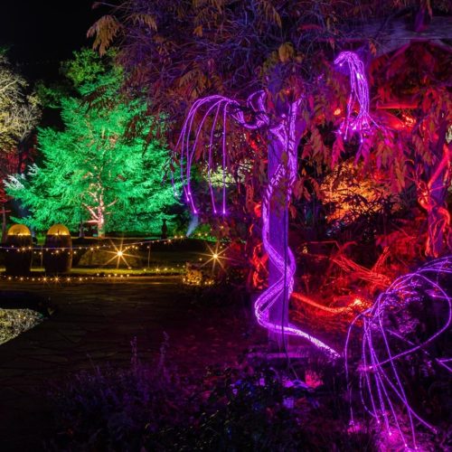 Enlightened Leicester: 5 reasons to visit this brand new light trail