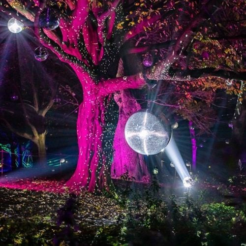 Ready, set glow: twinkling Christmas events in Northants, Leics and Rutland