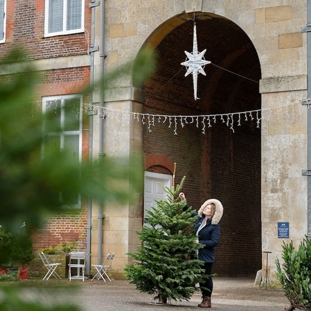 Why you should plan a visit to Boughton House this winter