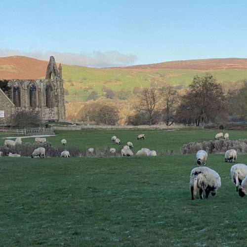 Review: The Devonshire Arms Hotel &amp; Spa, Bolton Abbey, Yorkshire Dales