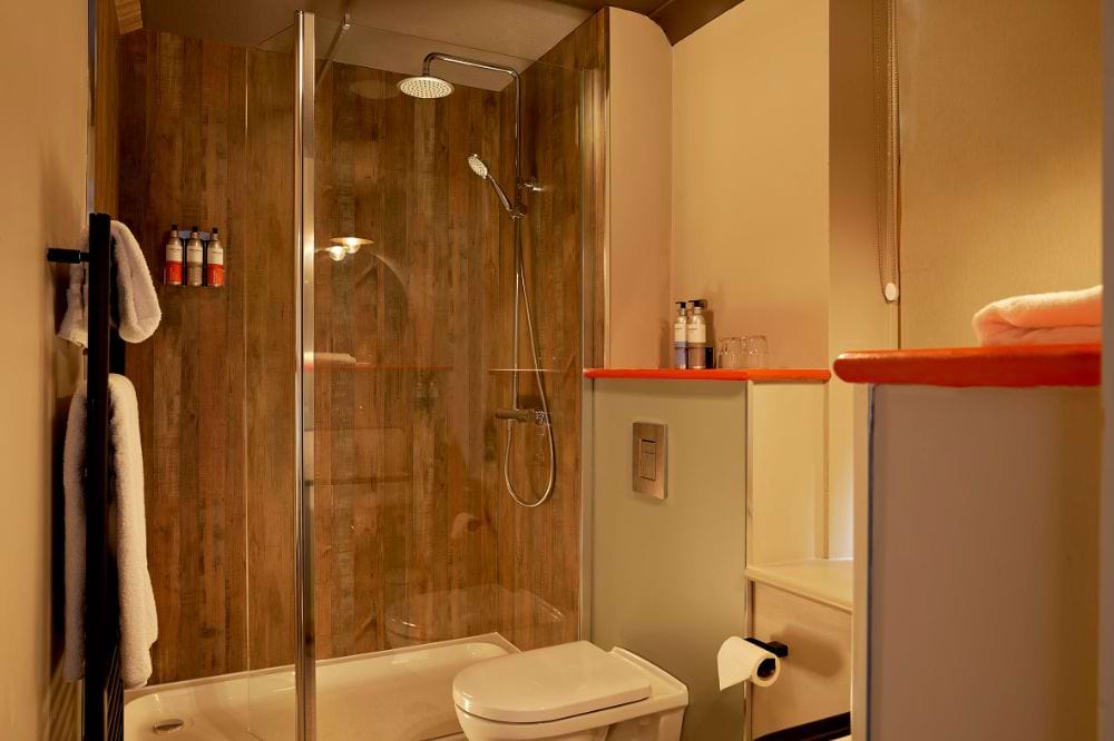 toilet and shower in hotel