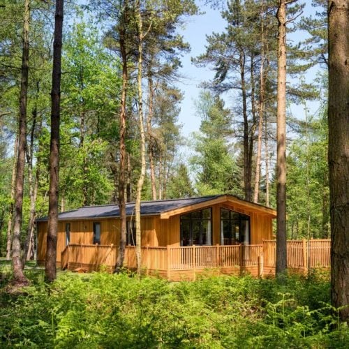 Muddy reviews: Darwin Forest Lodges, Peak District