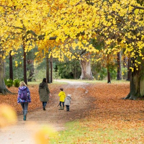 10 best leaf-kicking autumn walks (with café pitstops)