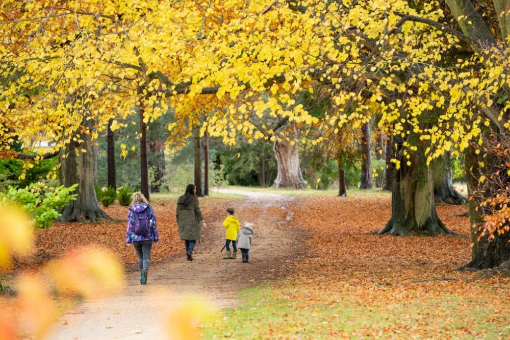 10 leaf-kicking autumn walks (with café pitstops)