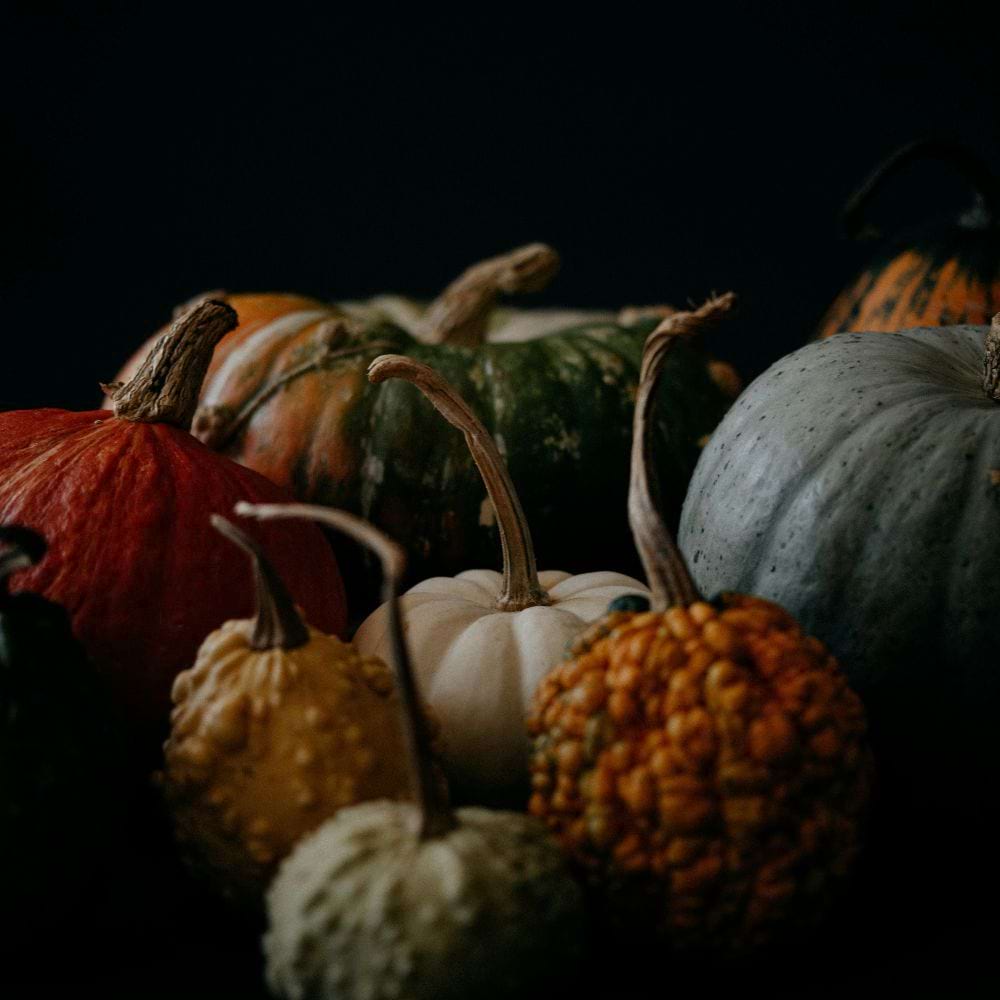 Pumpkin pickers rejoice! Where to find yours in Notts & Derbyshire