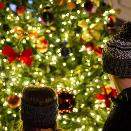 Jingle all the way! Things to do in Notts & Derbyshire in December