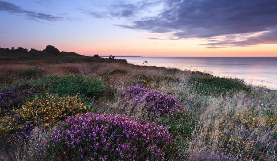 The Muddy insider’s guide to Suffolk