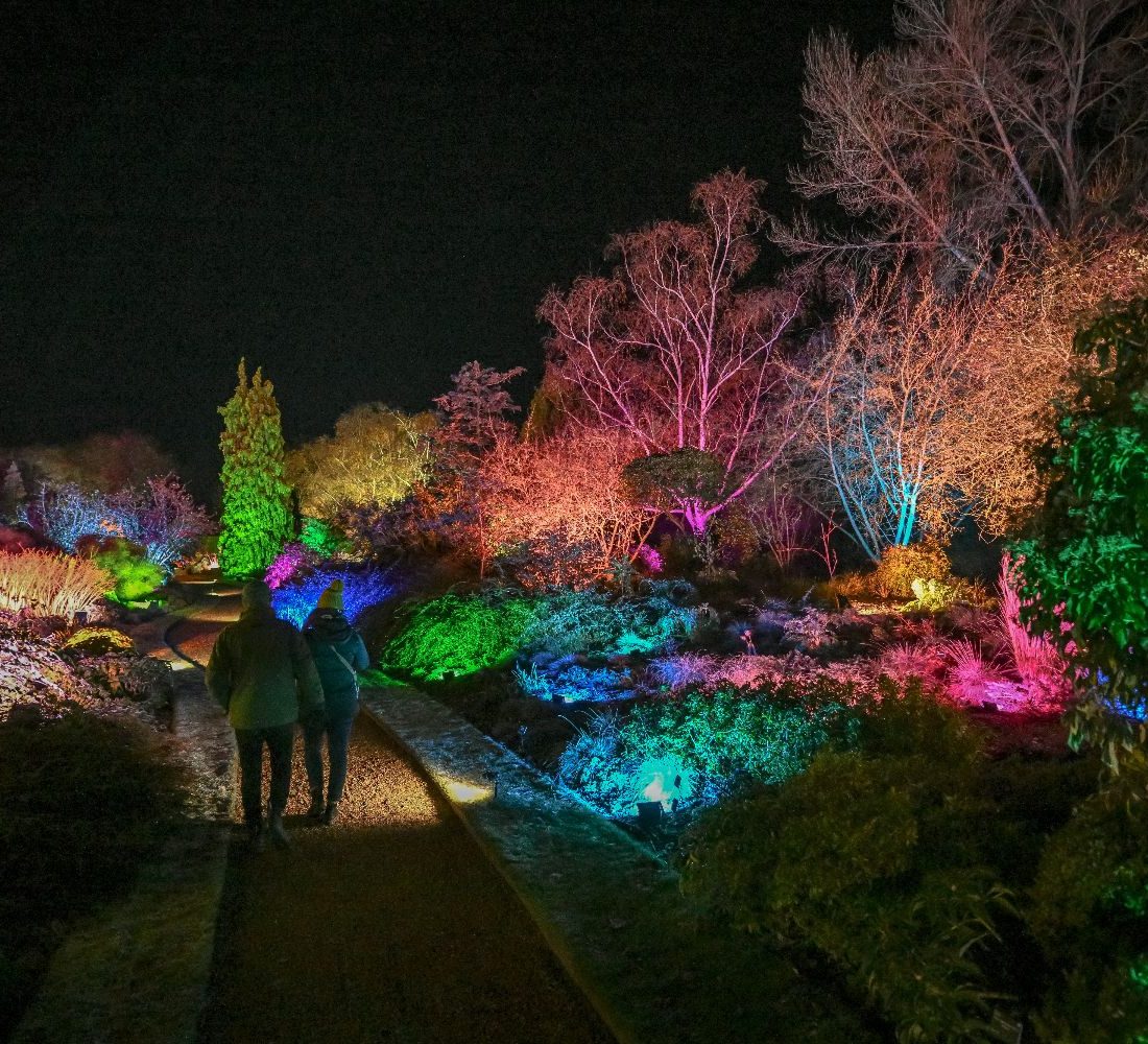 Lovely winter light trails in Suffolk & Cambs for 2024