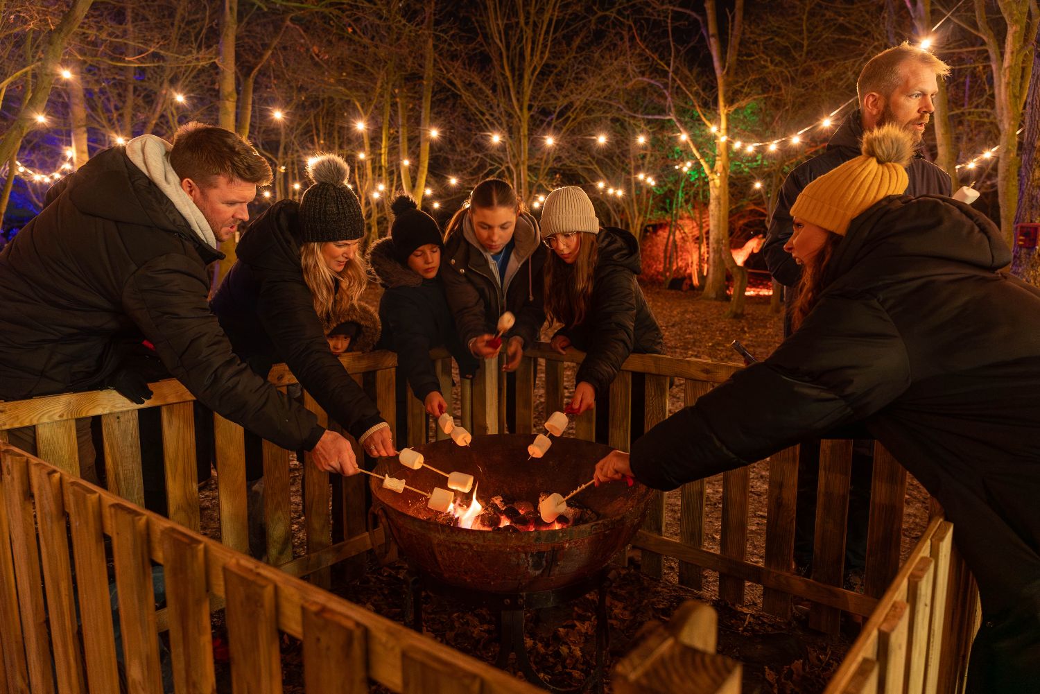 people toasting marshmallows on an open fire