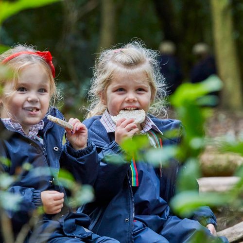 Highfield and Brookham Schools, Liphook