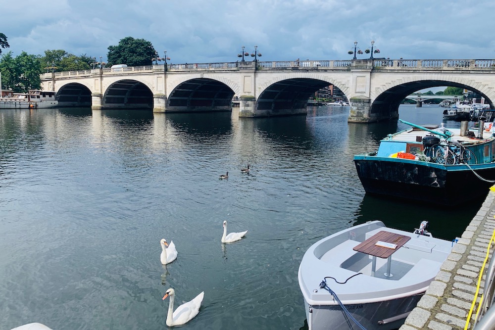 thames boat trips surrey