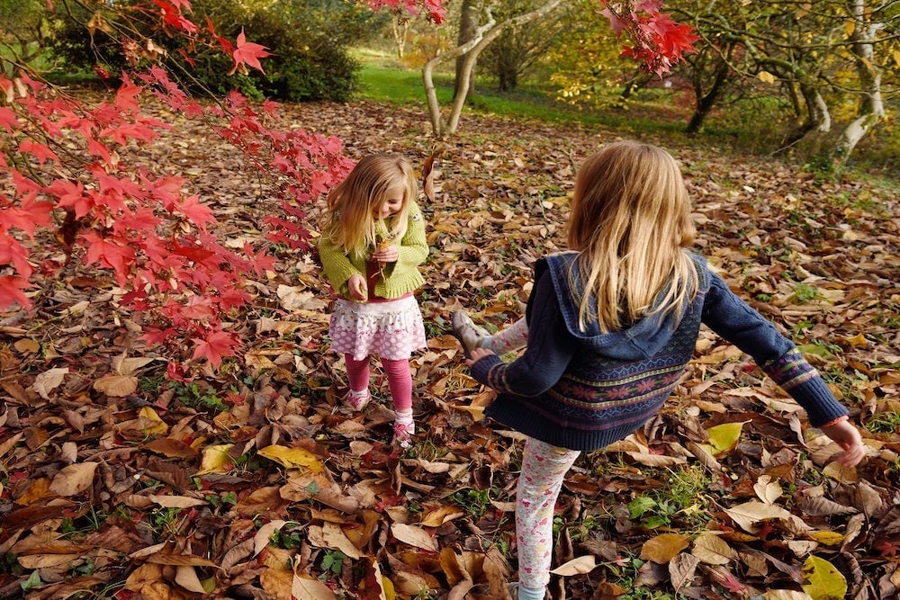 Half term heroes: 30+ things to do with big and little kids