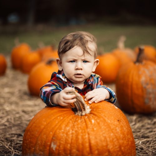 Good gourd! Here's our pick of the pumpkin patches in Surrey