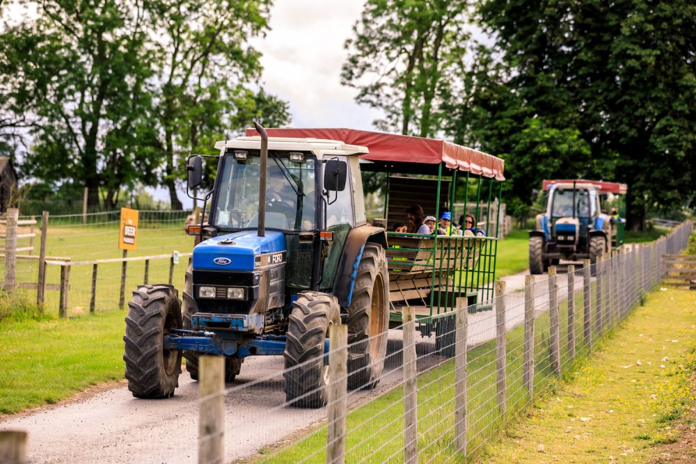 Bocketts Farm Muddy Stilettos Surrey Muddy Stilettos